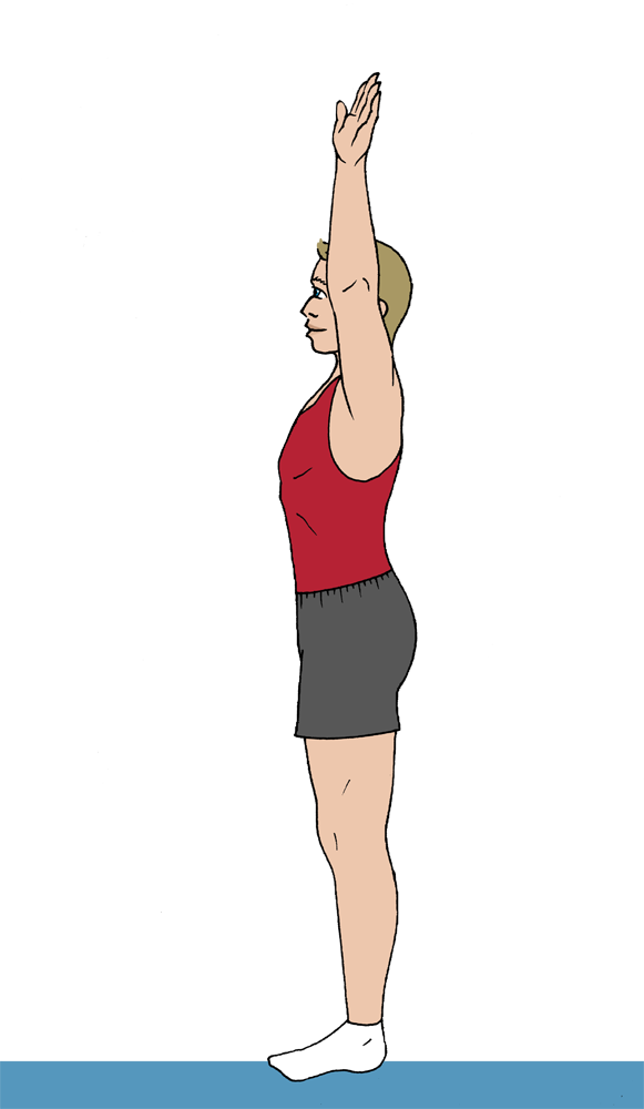 ilustración de gimnasta masculino saludando