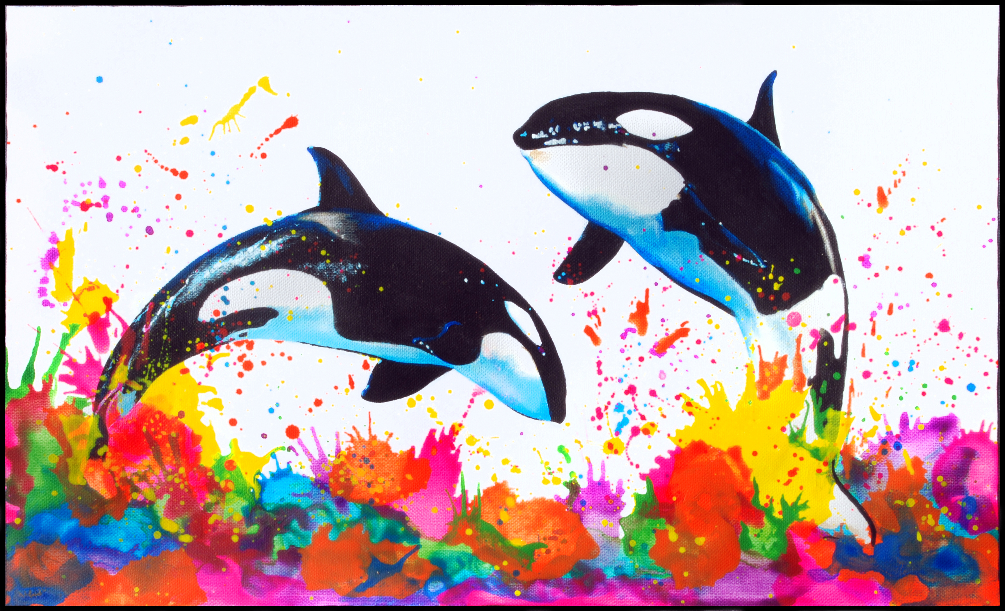 orcas sobre mar de colores