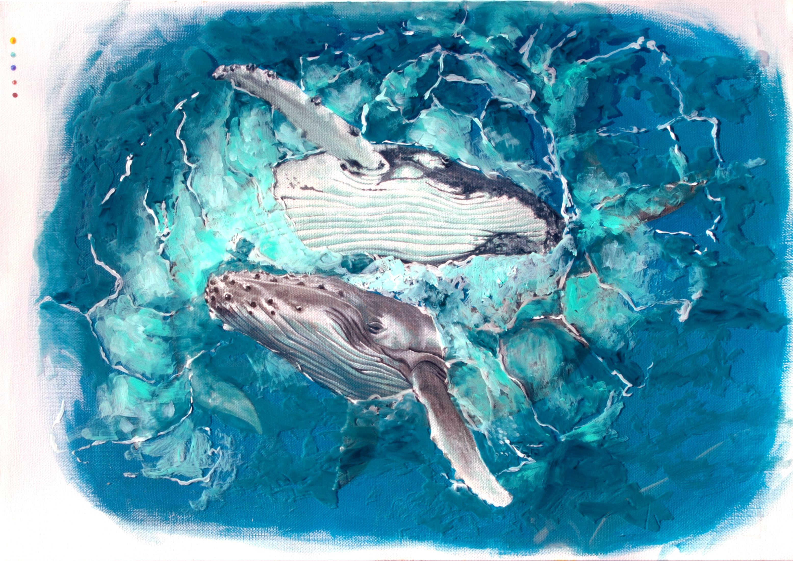 dos ballenas haciendo un círculo